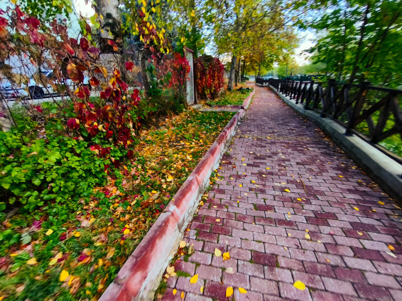 Konya’nın cennet köşesi sonbahar renkleriyle büyülüyor 8